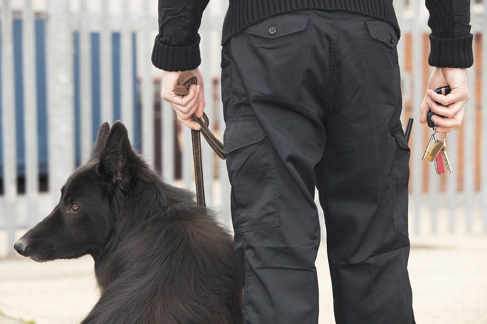 What are your rights as a Detainee in Spain?